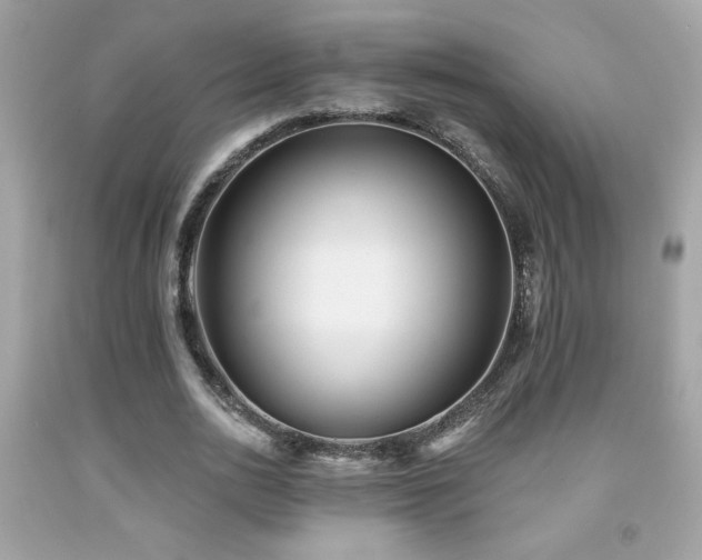 X0000092080726200709121443