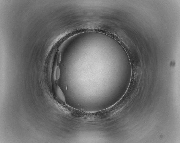 X0000092080727200709121444