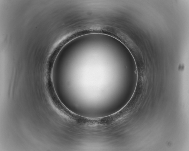 X0000092080728200709121444