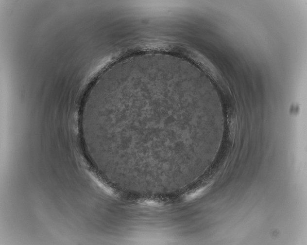 X0000092080729200709121444