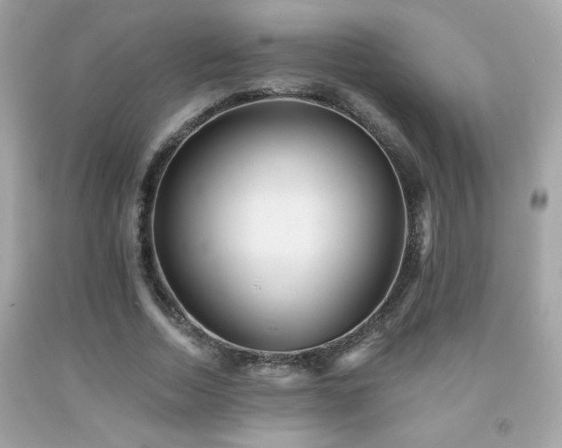 X0000092080730200709121444