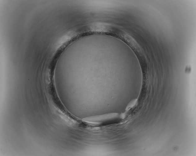 X0000092080731200709121444