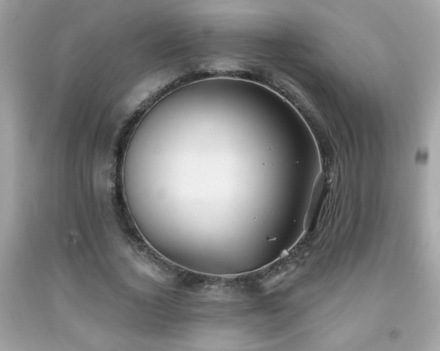 X0000092080732200709121444