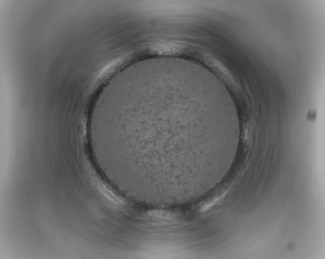 X0000092080733200709121444