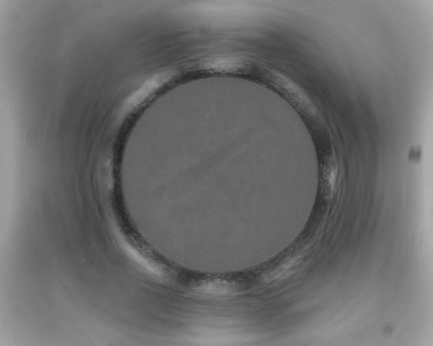 X0000092080734200709121444