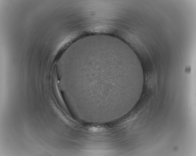 X0000092080735200709121444