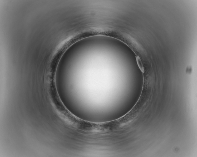 X0000092080736200709121444