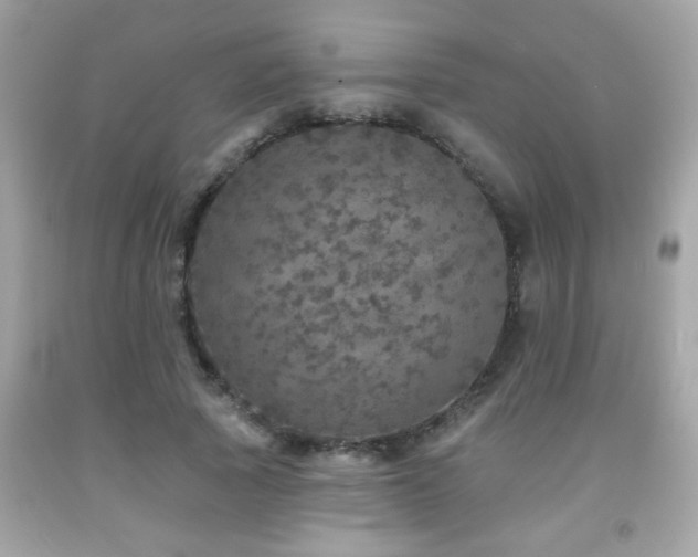X0000092080737200709121444