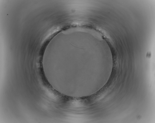 X0000092080738200709121444