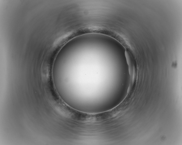 X0000092080740200709121444