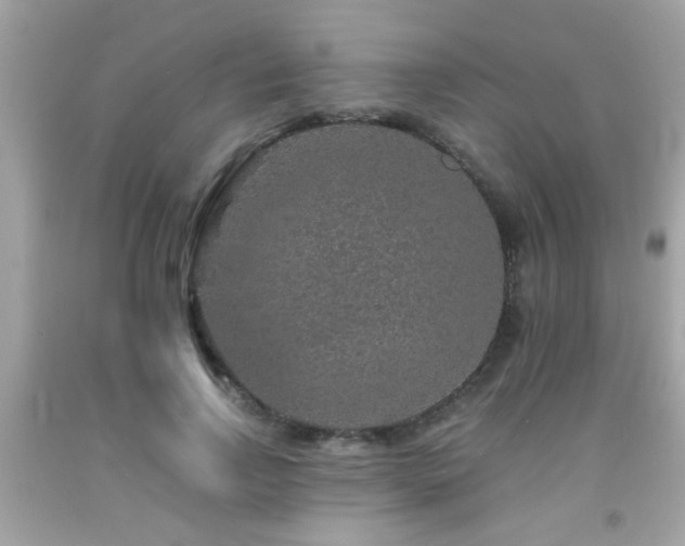 X0000092080742200709121444