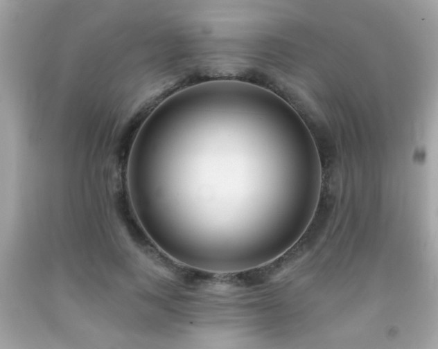 X0000092080743200709121444