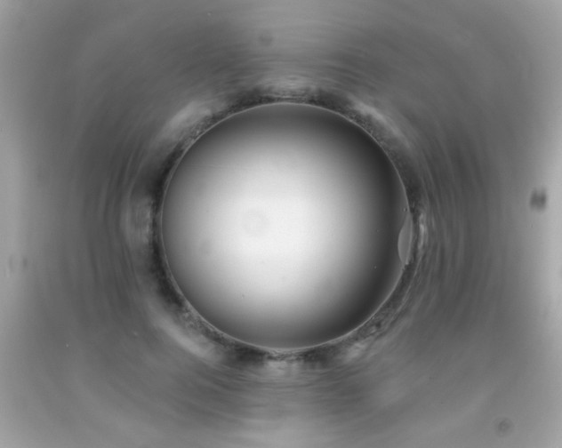 X0000092080744200709121444