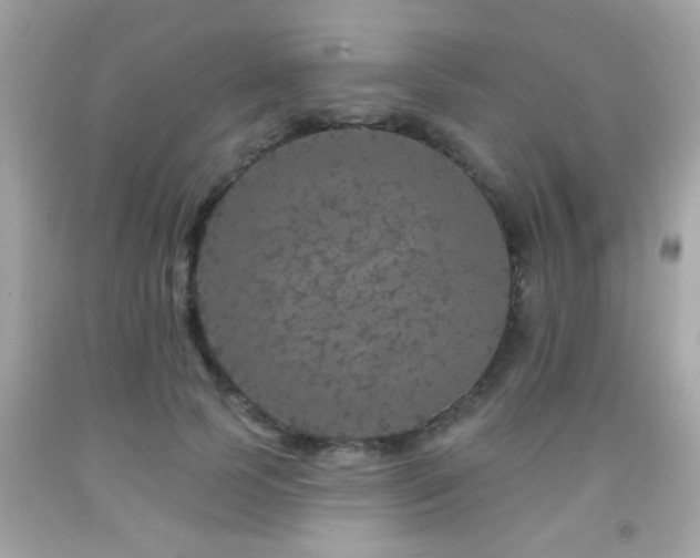 X0000092080745200709121444
