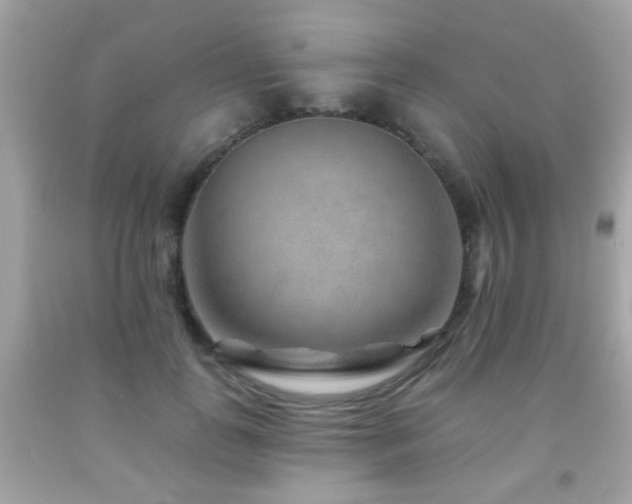 X0000092080747200709121444