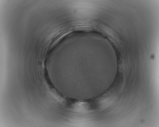 X0000092080748200709121444
