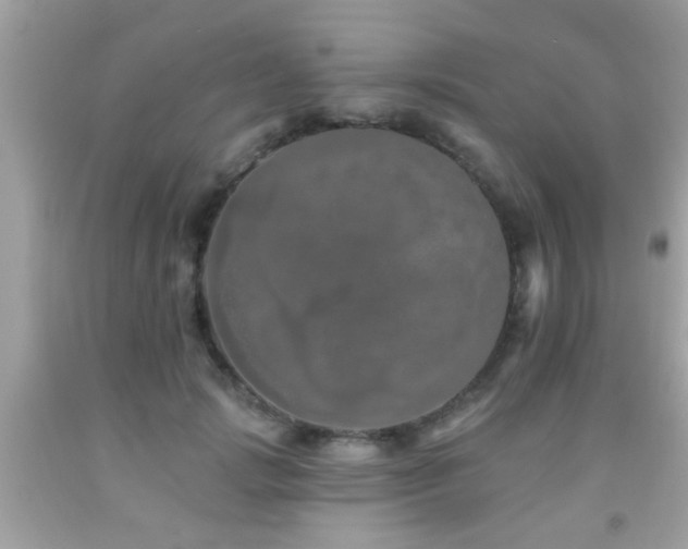 X0000092080749200709121444