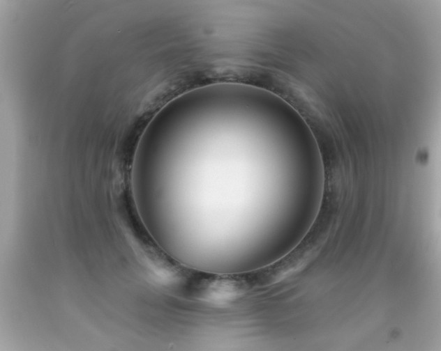 X0000092080751200709121444