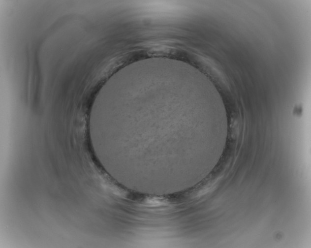 X0000092080753200709121444