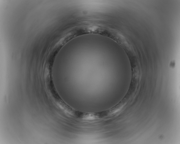 X0000092080754200709121444