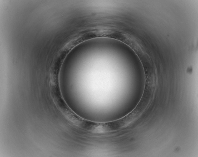 X0000092080755200709121444
