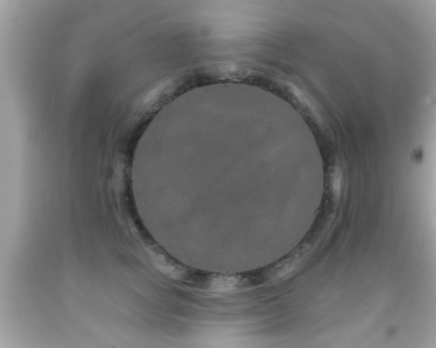 X0000092080757200709121444