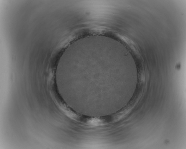 X0000092080759200709121444