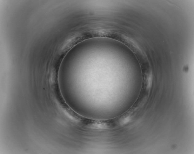 X0000092080760200709121444