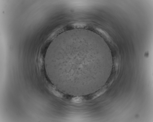 X0000092080761200709121444