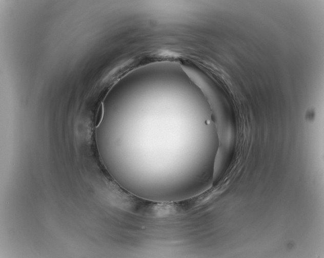 X0000092080762200709121444