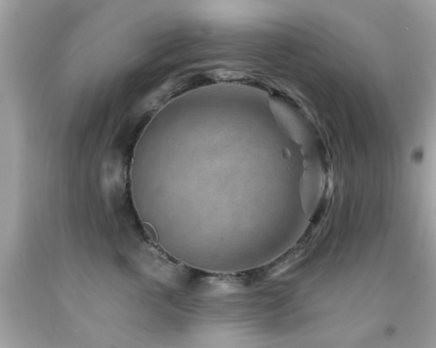 X0000092080763200709121444