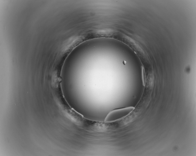 X0000092080764200709121444