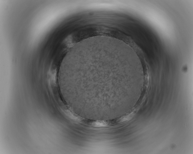 X0000092080765200709121444