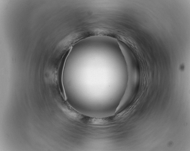 X0000092080766200709121444