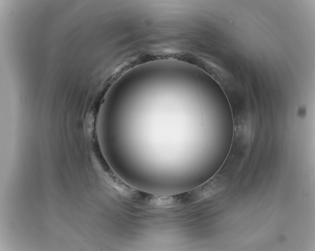 X0000092080767200709121444