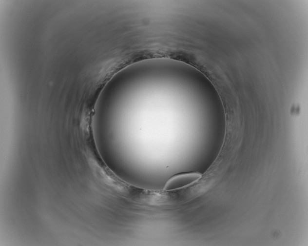 X0000092080768200709121444