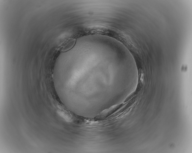 X0000092080771200709121443