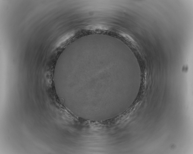 X0000092080774200709121443