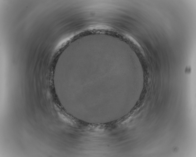 X0000092080775200709121443