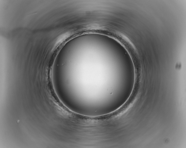 X0000092080777200709121443