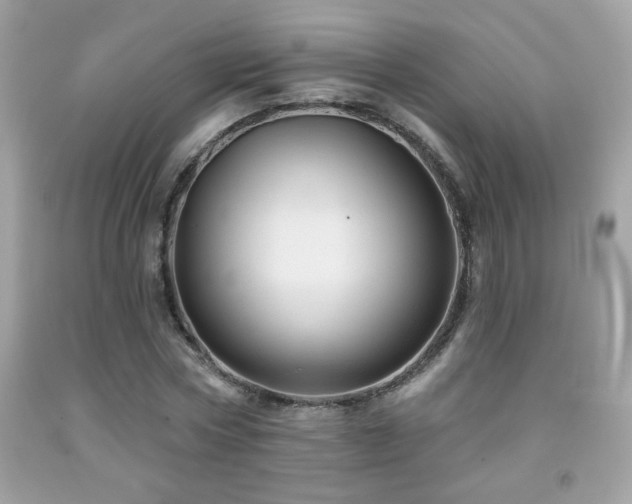 X0000092080778200709121443