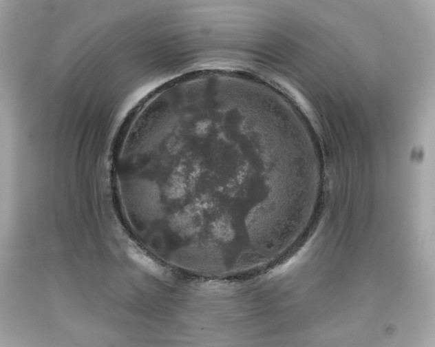 X0000092080779200709121443