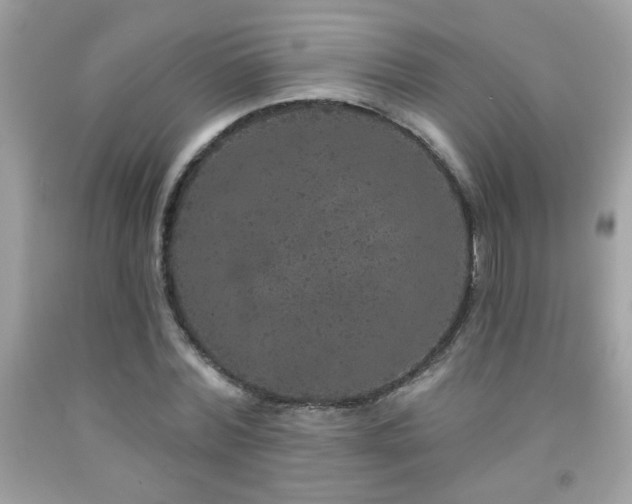 X0000092080780200709121443