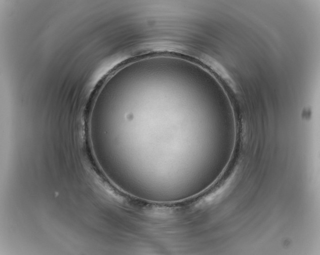 X0000092080782200709121443