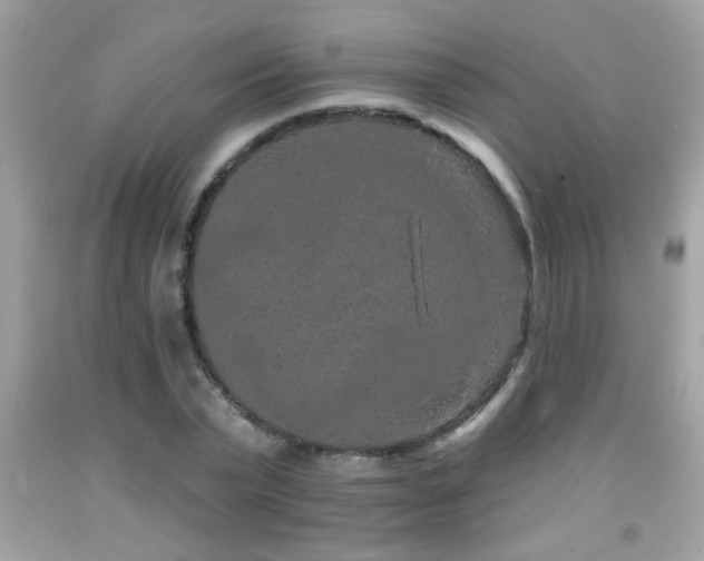 X0000092080783200709121443