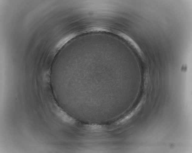 X0000092080785200709121443