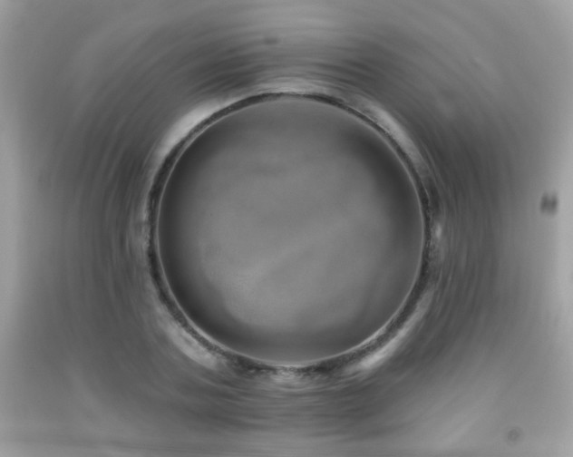 X0000092080787200709121443
