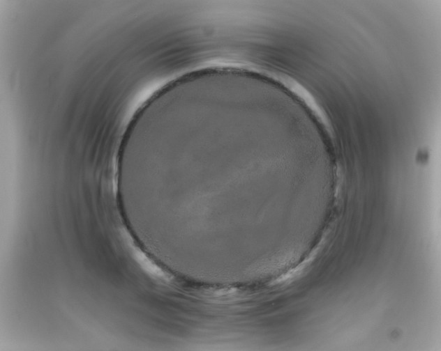 X0000092080791200709121443