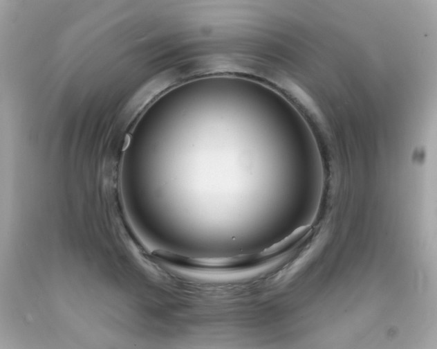 X0000092080793200709121443
