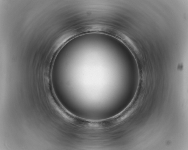 X0000092080794200709121443